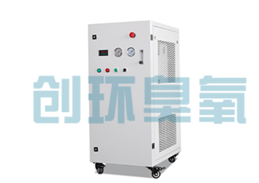 北京石斑鱼养殖水质调控完整指南：臭氧发生器配置与操作步骤