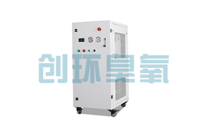 北京比传统换水更高效？臭氧发生器在石斑鱼养殖中的水质净化原理解析